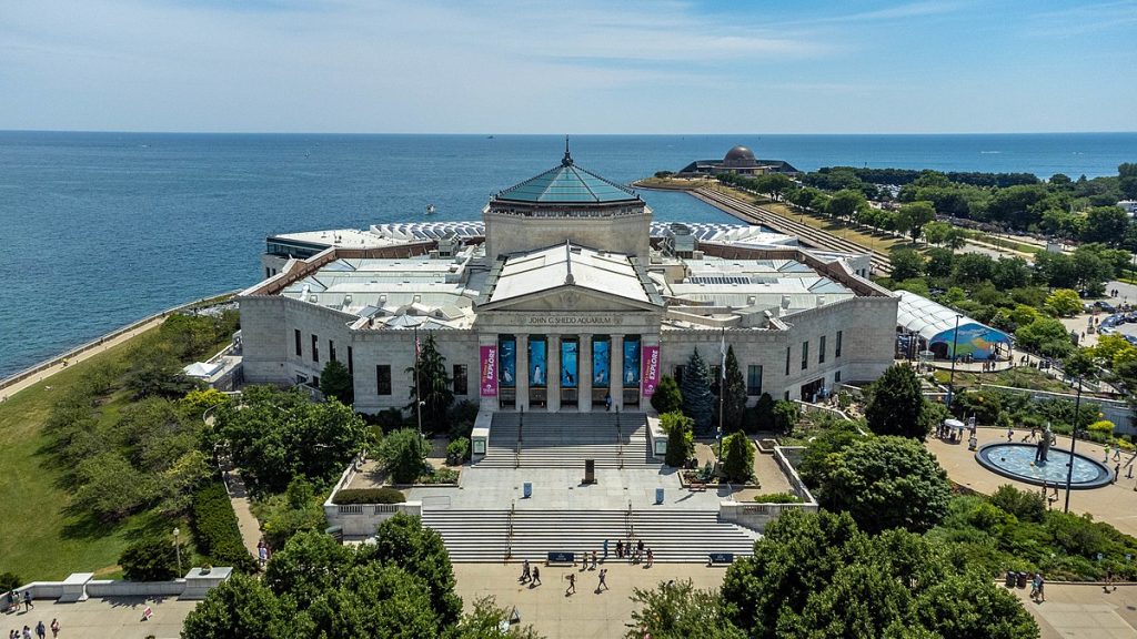 Hotels in Chicago Near Shedd Aquarium With Indoor Pool